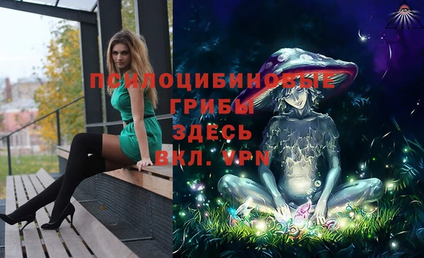 таблы Алексеевка