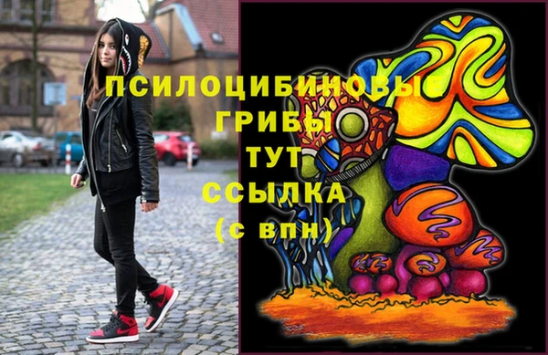твердый Весьегонск