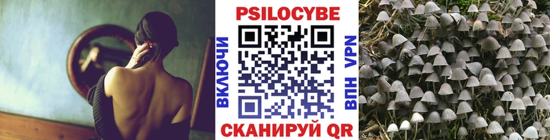 Псилоцибиновые грибы ЛСД  даркнет сайт  Суровикино 